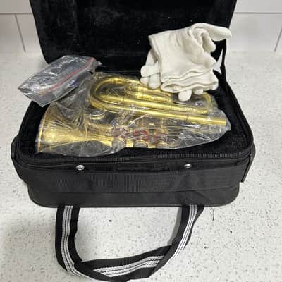 Brand new Pocket Trumpet with Hardcase and Mouthpiece - Brass Gold image 6