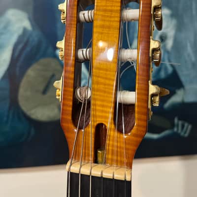 Carvin NS-1 5A Flame Sunburst - Sunburst image 5