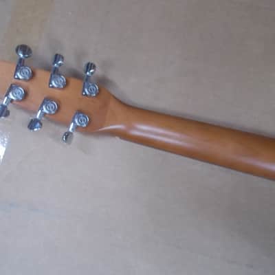 Seagull Entourage Rustic Dreadnought Acoustic Guitar Player!! image 14