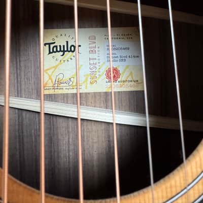 Taylor Sunset Blvd 414ce Studio SEB Acoustic-Electric Guitar – Excellent Condition w/ Gig Bag image 4