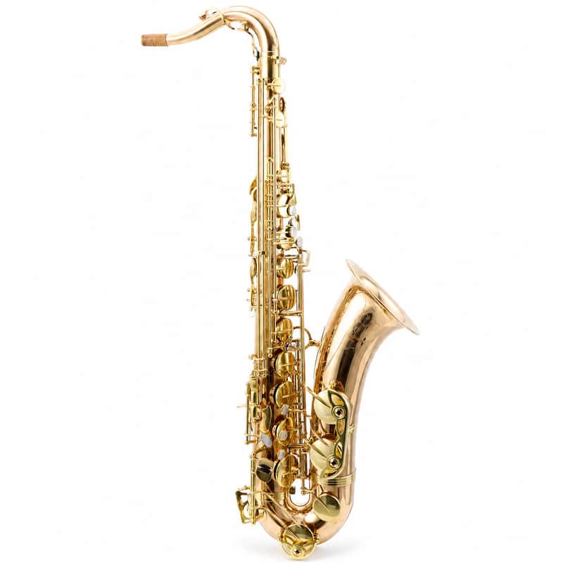 Yanagisawa TWO20 Professional Bb Tenor Saxophone in Lacquered Bronze SN 00399487 image 1