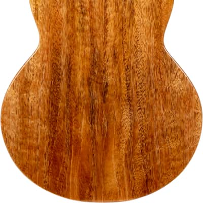 Flight A10MM Mango Dragon NEW - Natural image 12