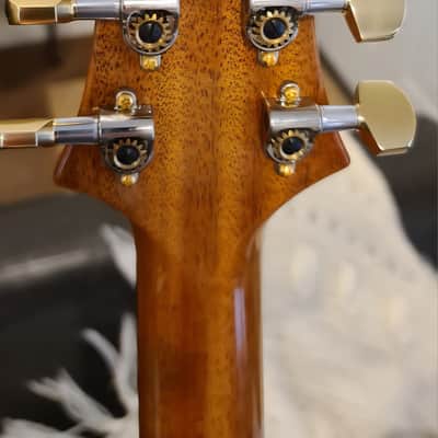 PRS 509 -Paul Reed Smith 509 10-Top 2020 - Tiger Red image 10