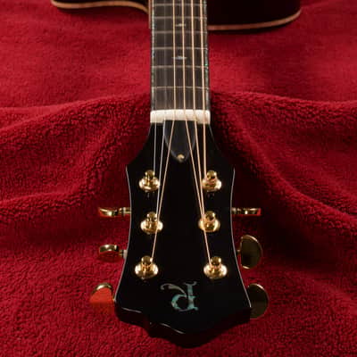 B.C. Rich Acoustic Cutaway 6 -String - Black - W/Matrix Infinity VT & Hardcase image 5