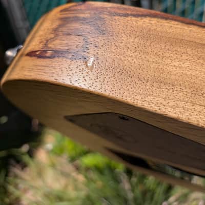 Hapas Judge 630 2025 - Natural black limba image 8