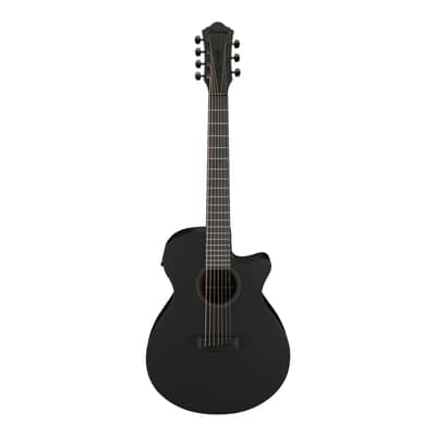 Ibanez AEG721-BOT - Acoustic Guitar imagen 2