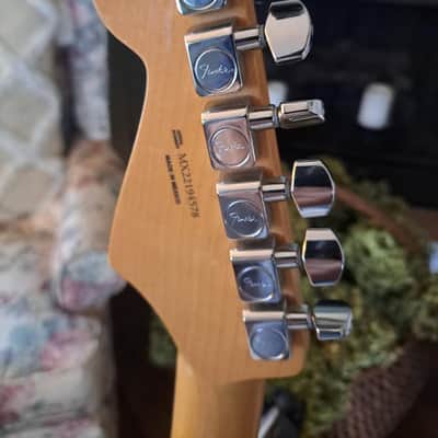 Fender Stratocaster Player MIM image 4