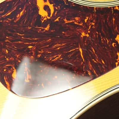 MARTIN D-28 CTM COCOBOLO SWISS (2014 Style 28 Cocobolo Series Anaheim) [1775411] (03/30) image 4