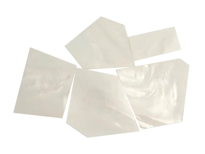 Incudo Incudo Mother of Shell Inlay Pieces - 25g Medium White