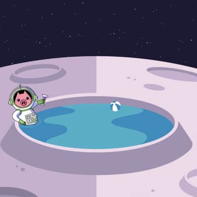 Pigtronix MOON POOL Tremvelope Phaser image 12