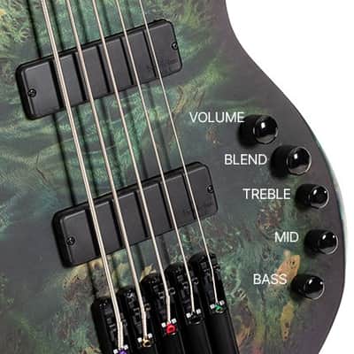 Cort Space 5 SDG | Artisan Series 5-String Bass Guitar, Star Dust Green. New with Full Warranty! image 10