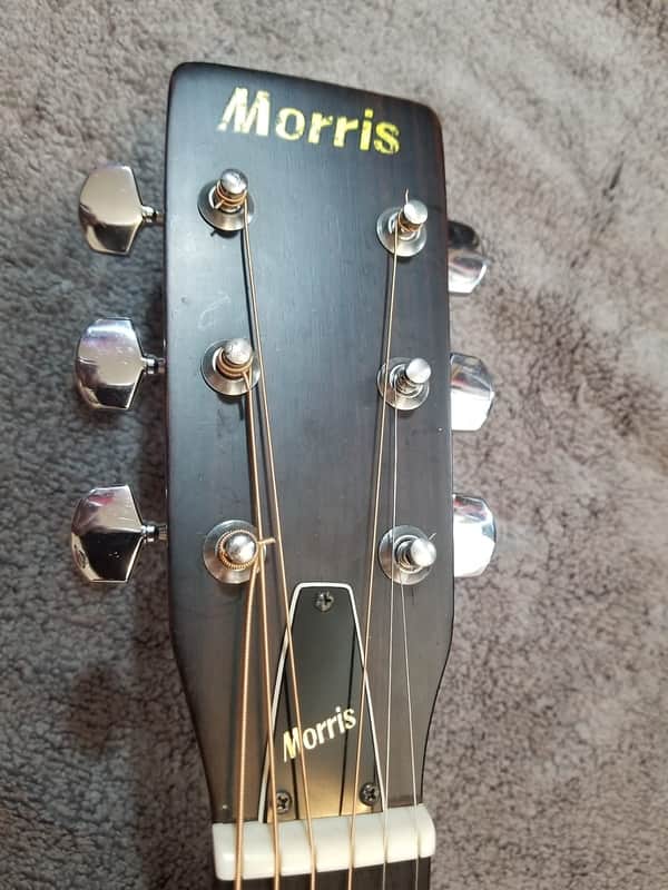 MORIS Acoustic Guitar W20 1975年製 Morris W20 in 1975 (Rare) | Reverb