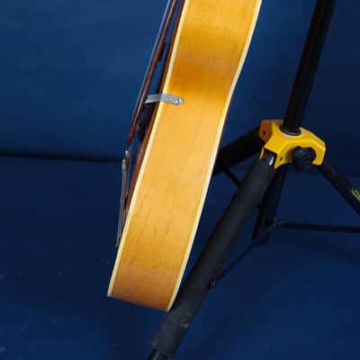 Epiphone Triumph 1944 / Here's Your Stardust Melody! image 18
