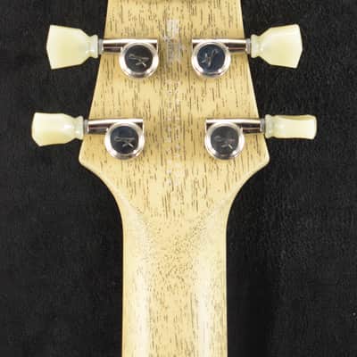 Tom Anderson Bobcat Cub TV Yellow with Black Dog Hair image 9