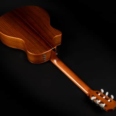 2018 Taylor 714ce-N - Natural | USA All Solid Grand Auditorium Crossover Classical Guitar Nylon Cutaway Pickup | OHSC image 14