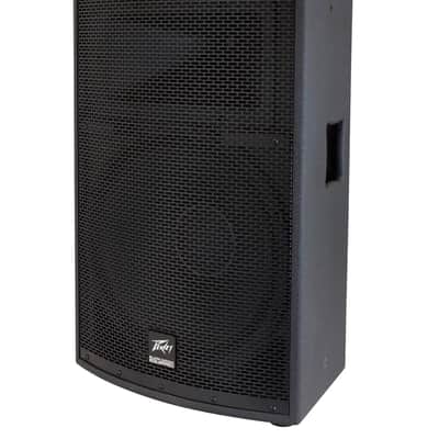 Peavey SP 2 1000-Watt 2-Way PA Speaker image 3