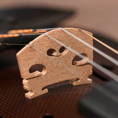 Glasser GCC-V4/4 2020s - Carbon Fiber image 15