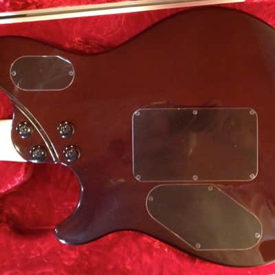 EVH Wolfgang Special 2010 Tobacco Sunburst image 14