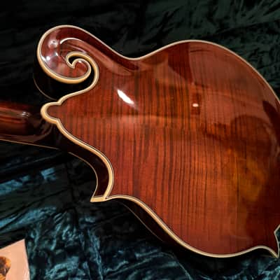 Bourgeois Guitars M5-F-BT, Bourgeois M5-F black top f- style mandolin- aged tone Adirondack/ European maple. 2025 - High gloss finish. Bourgeois M5-F black top f- style mandolin- aged tone Adirondack/ European maple. Mint condition. image 6