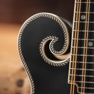 Washburn M3SEBRK Americana Series Solid Spruce Top Maple Neck F-Style 8-String Acoustic-Electric Mandolin w/Padded Gig Bag image 8