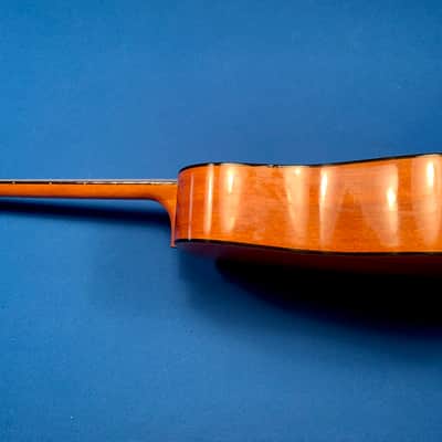 Washburn D-15 image 6