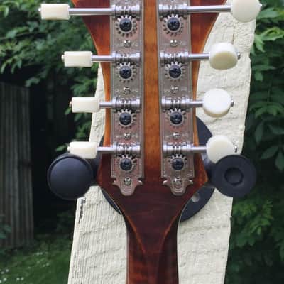 Vanden F5 Mandolin image 5