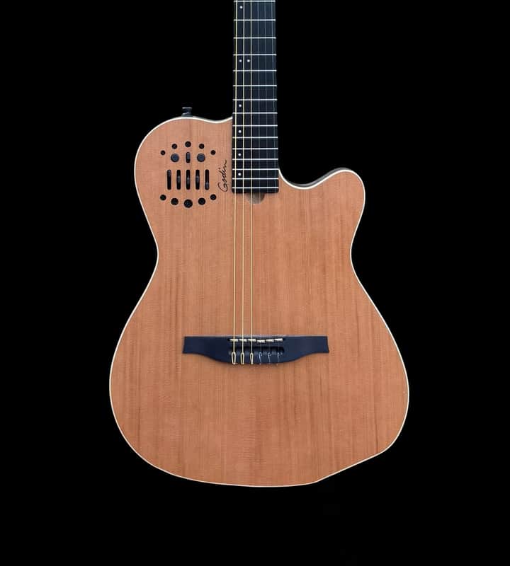 Godin Godin ACS-SA Slim Nylon image 1