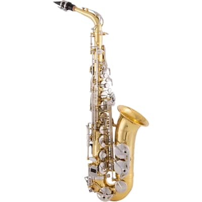 Selmer SAS202 Student Eb Alto Saxophone image 1