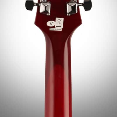 Epiphone Slash Appetite for Destruction Les Paul Electric Guitar (with Gig Bag) image 8