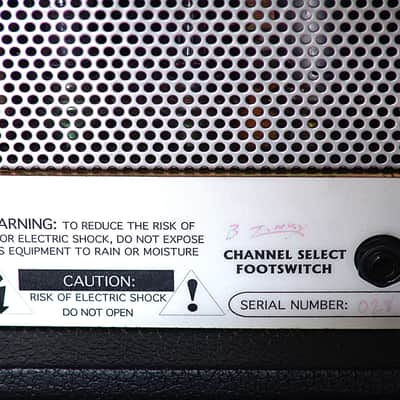 Rare Zinky MOFO 60 W Tube Guitar Amplifier Head w/original 2x12 cabinet image 4