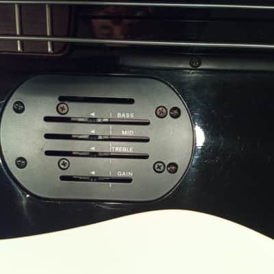 Godin L.R. Baggs Bass image 6