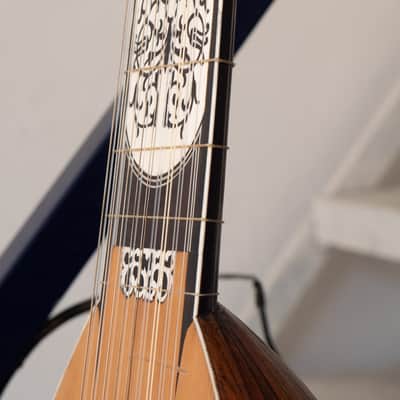 Original 17th Century Renaissance Bass Lute - Professional performance condition image 21