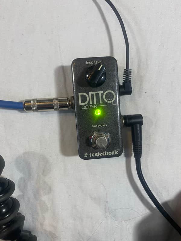 TC Electronic Ditto Looper