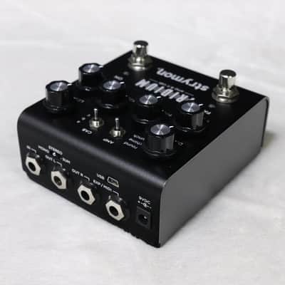 Strymon Iridium Amp & IR Cab [S23-56158] (06/25) image 2