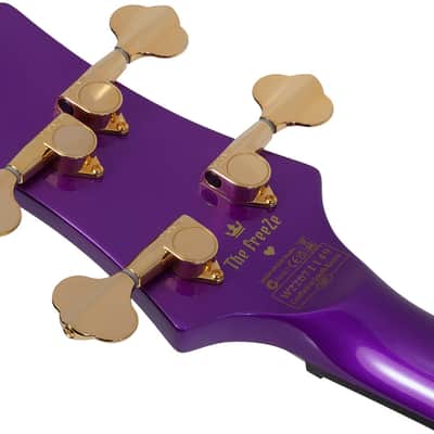 Schecter FreeZesicle-4 - Freeze Purple (2297) image 9
