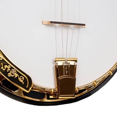 Gold Tone OB-300 Orange Blossom Banjo — Gold-Plated Beauty, Tree of Life, New | Banjo Warehouse image 10