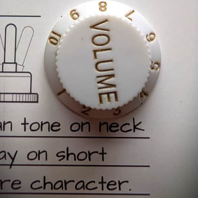 The Tone Ledger - Keep Track of Your Amp and Pedal Tones Worry-Free (Great Gift for Guitar, Bass, Keyboard Users) image 5