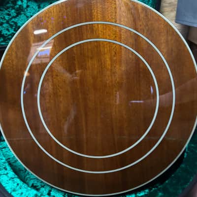 Epiphone Mastertone Classic Banjo image 12