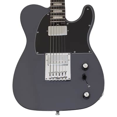 Schecter PT EX guitar in Dorian Gray B-Stock 1257 image 2