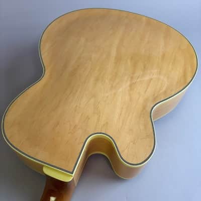 Ibanez PM200 2025 image 10