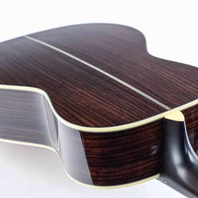 Eastman E20P Thermo Cured 12 Fret image 9