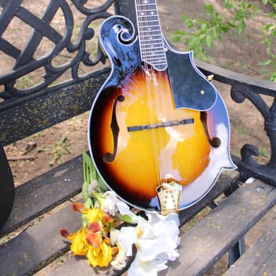 Washburn M3SWK Bluegrass F-Style Mandolin with Hardshell Case- Sunburst image 2