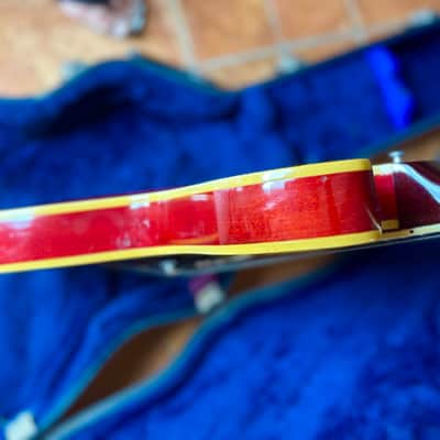 Epiphone Riviera E360TD 1967- Cherry image 18