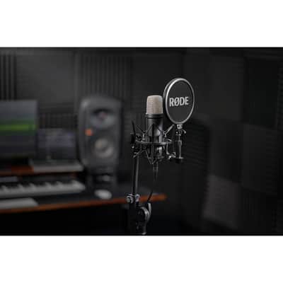 Rode NT1 Signature Series Black Large-Diaphragm Cardioid Condenser Microphone Home Studio Recording Bundle with Rode Ai-1 USB-C Audio Interface and On-Stage MS7701B Euro Boom Tripod Microphone Stand image 6