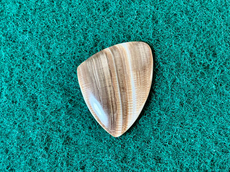 Seashell guitar pick-5.2mm, asymmetrical profile… by BeachSidePicks image 1