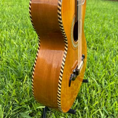 Gallardo Bajo Quinto - Mexican Rosewood and Cedar Bajo Quinto 2026 - Mexican Rosewood image 4