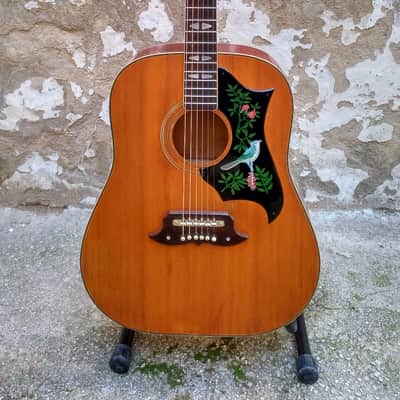 1970 Terada FW-943 Hummingbird Acoustic Guitar MIJ image 1