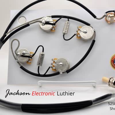 ES175 Wiring Harness  CTS 525k Rare .022 uF Vitamin Q PIO Capacitors image 2