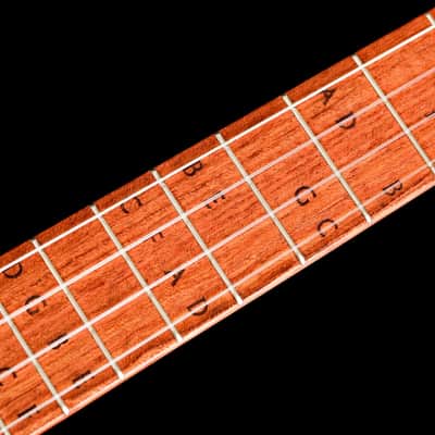 Tyde "Learner" Concert Ukulele image 9