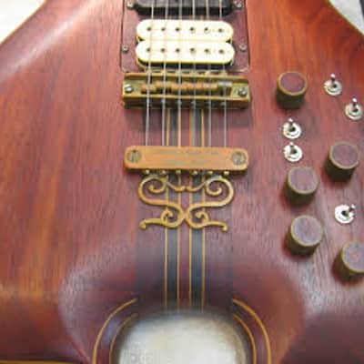 The Joker.THE Guitar! image 7